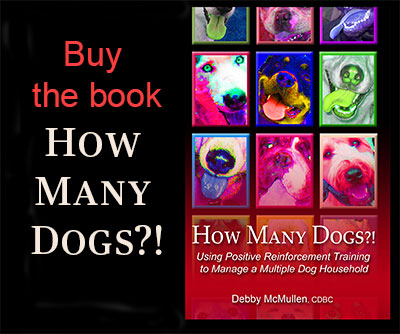 Buy the book, How Many Dogs?! click here