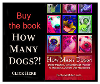 Buy the book, How Many Dogs?! click here