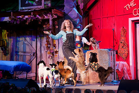 Photo of Dawn Goehring of Comedy Barn Canines. Photo Courtesy of Christine Romano, Rich Blessings Photography