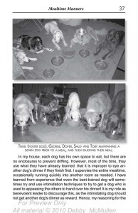 Image of page 37 from the book "How Many Dogs?!", text reprinted below