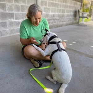 Mutual engagement while training is a good thing! Photo courtesy of Dawn Goehring.